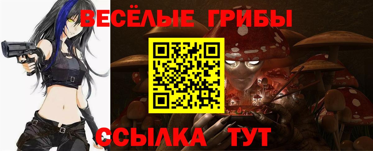 Кизилюрт  Псилоцибиновые грибы мухоморы  Вход с VPN 